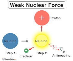 Weak Force